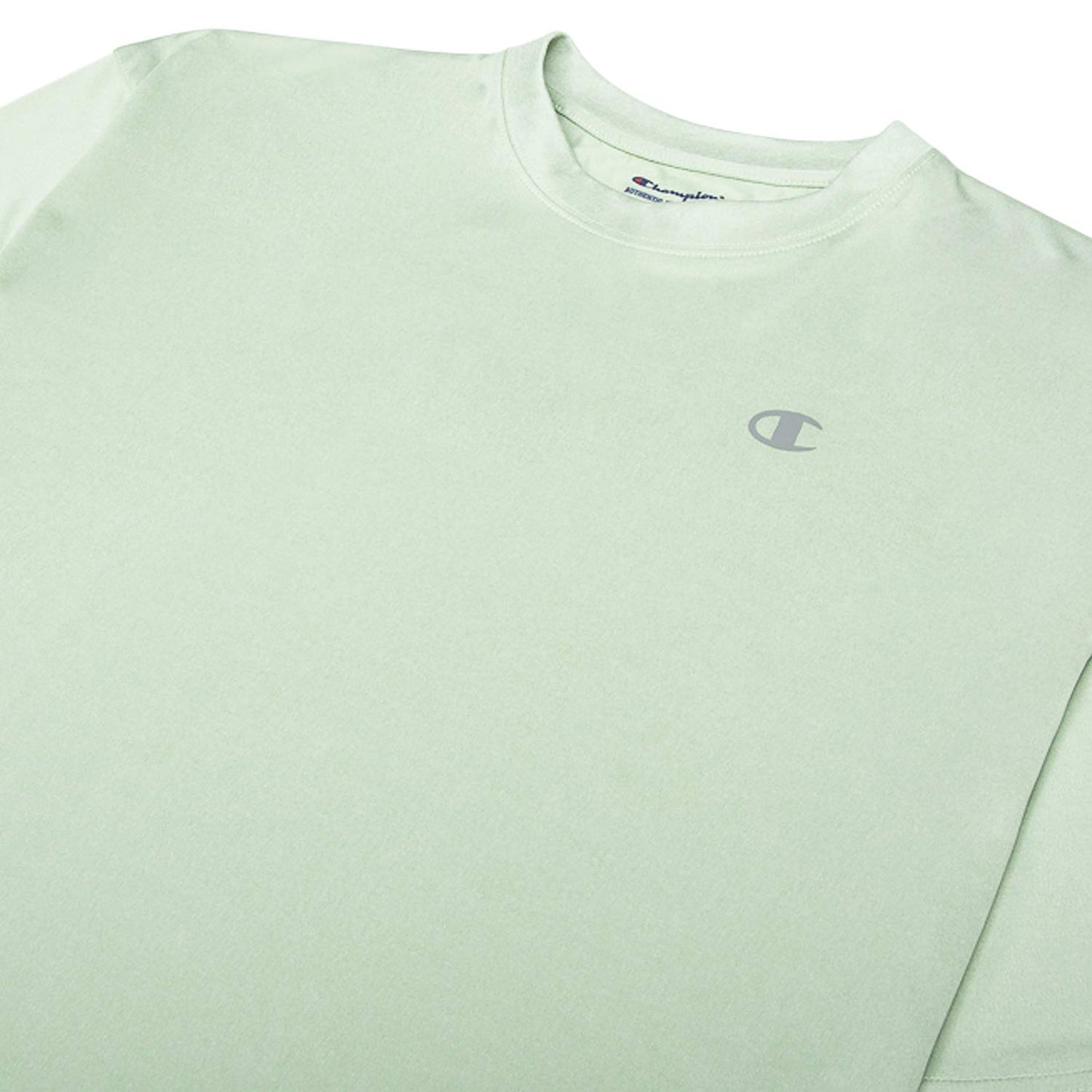 Champion Big & Tall Moisture Wicking T-Shirt for Men