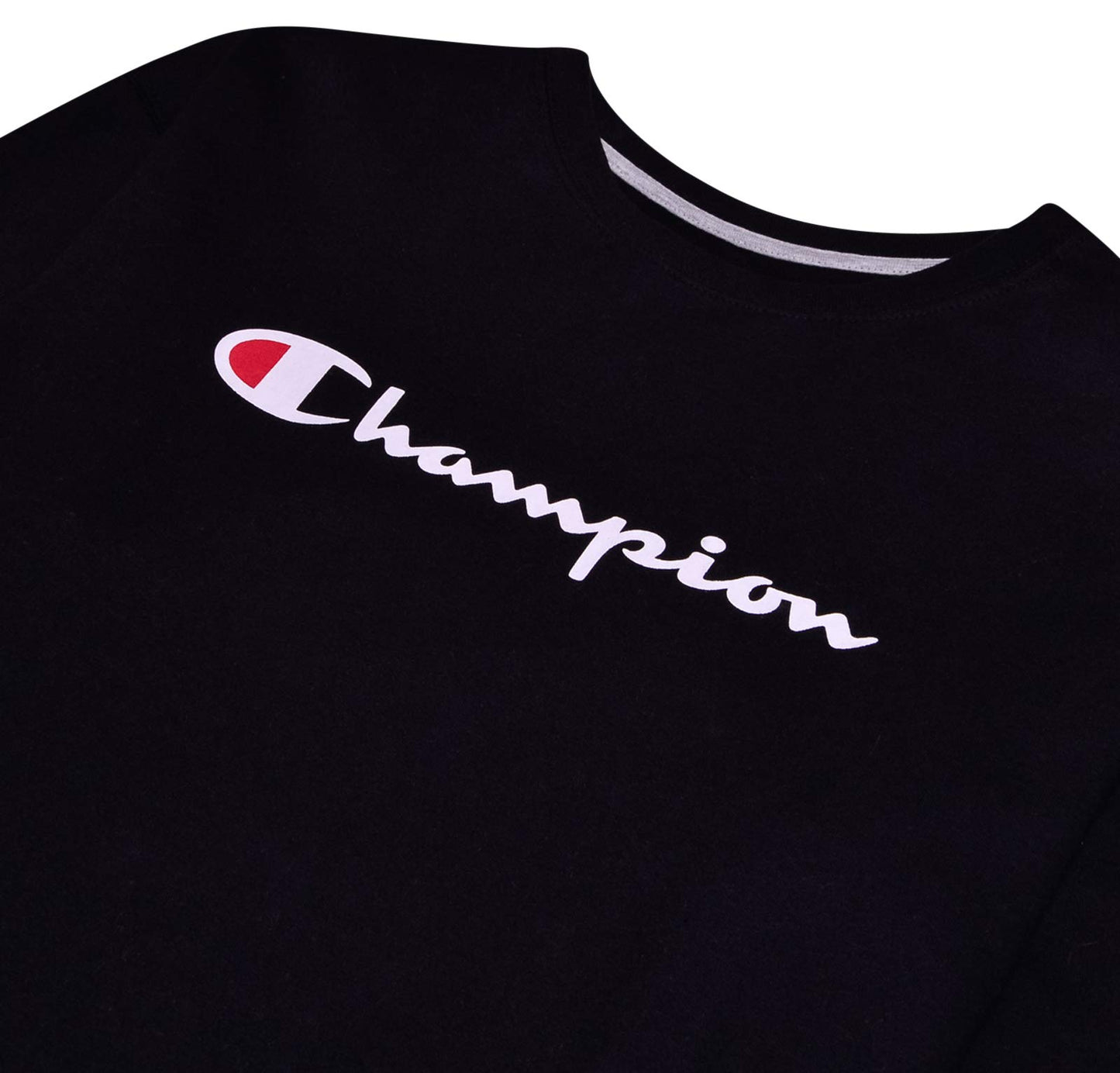 Champion Big & Tall Pullover Crewneck Sweatshirt for Men