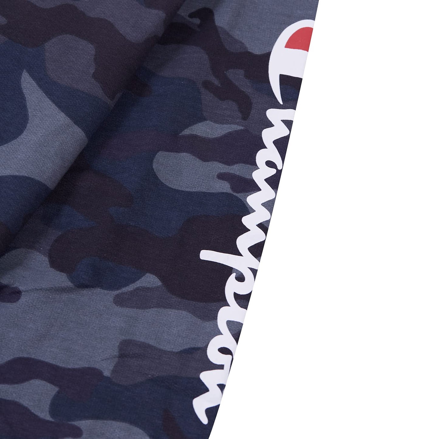 Champion Big & Tall Men's Pullover Fleece Hoodie