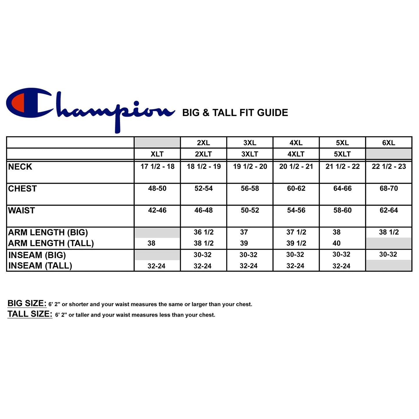 Champion Big & Tall Men's Pullover Fleece Hoodie