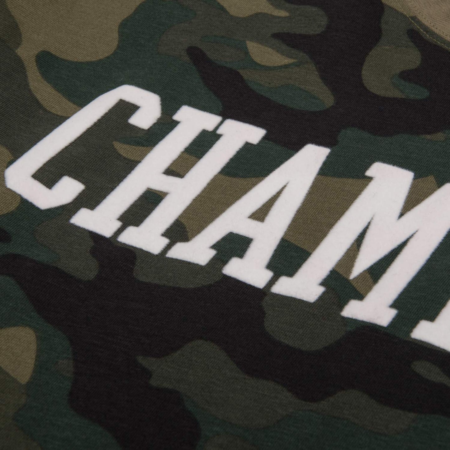Champion Big & Tall Short Sleeve Logo T-Shirt for Men