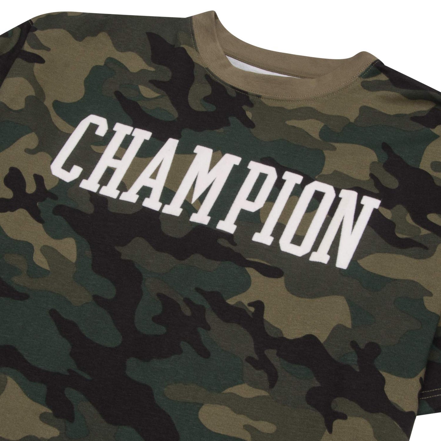 Champion Big & Tall Short Sleeve Logo T-Shirt for Men