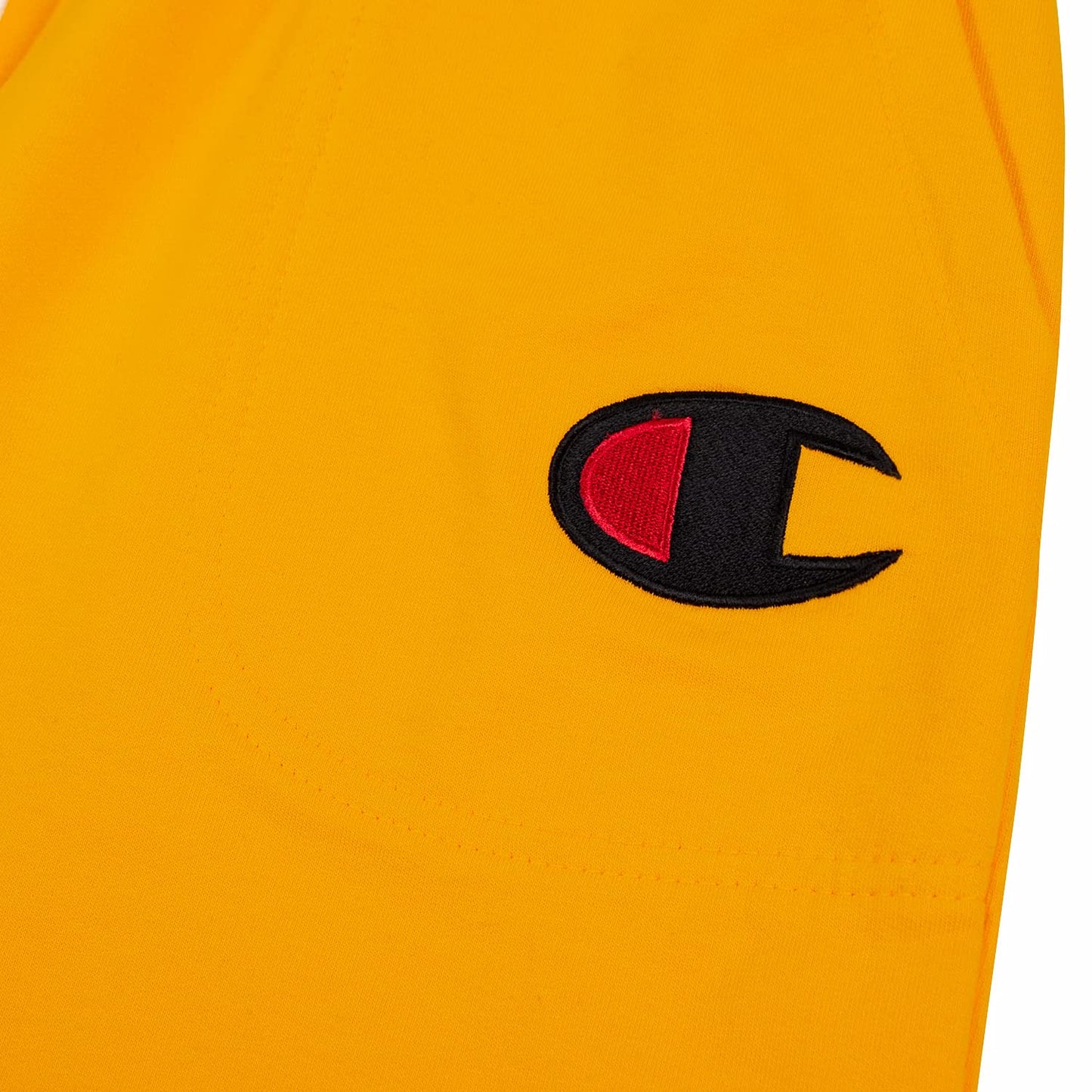 Champion Big & Tall French Terry Active Shorts for Men