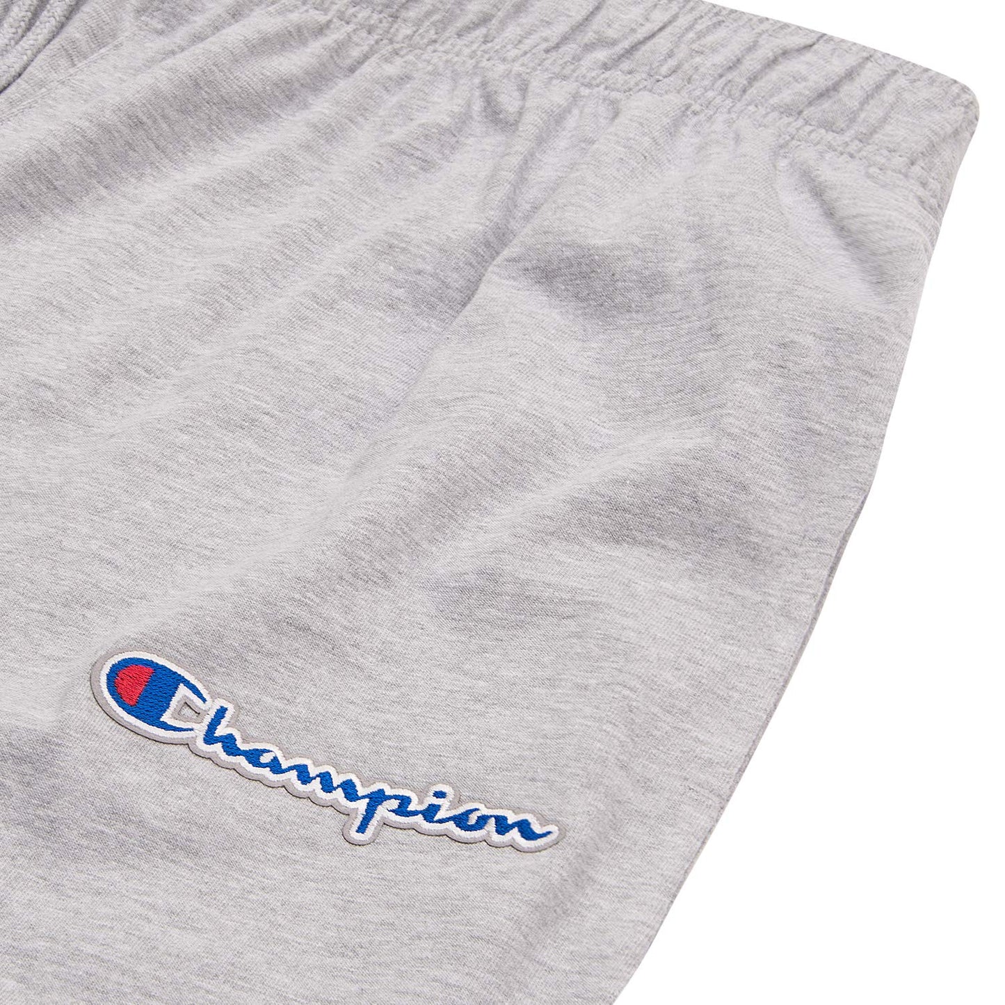 Champion Big & Tall Lounge Pants Joggers for Men