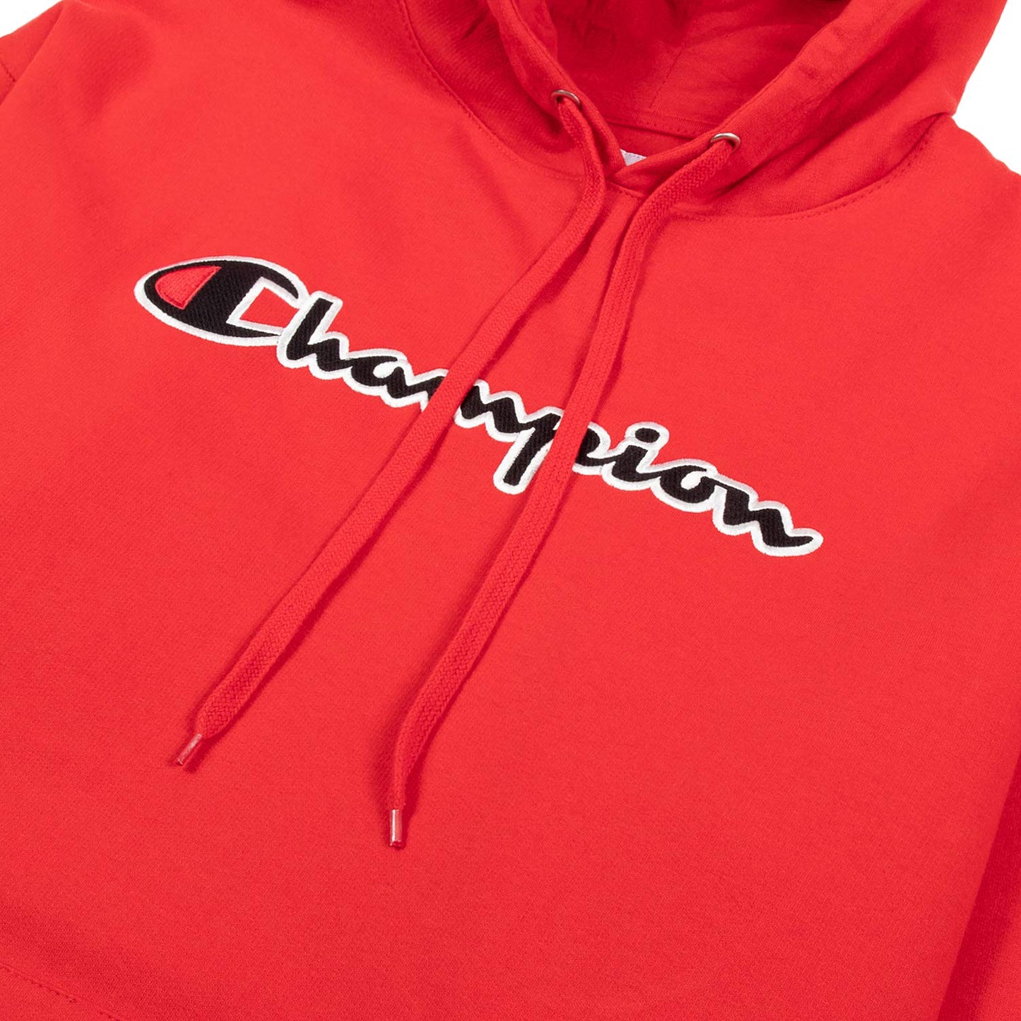Champion Big & Tall Embroidered Pullover Hoodie for Men