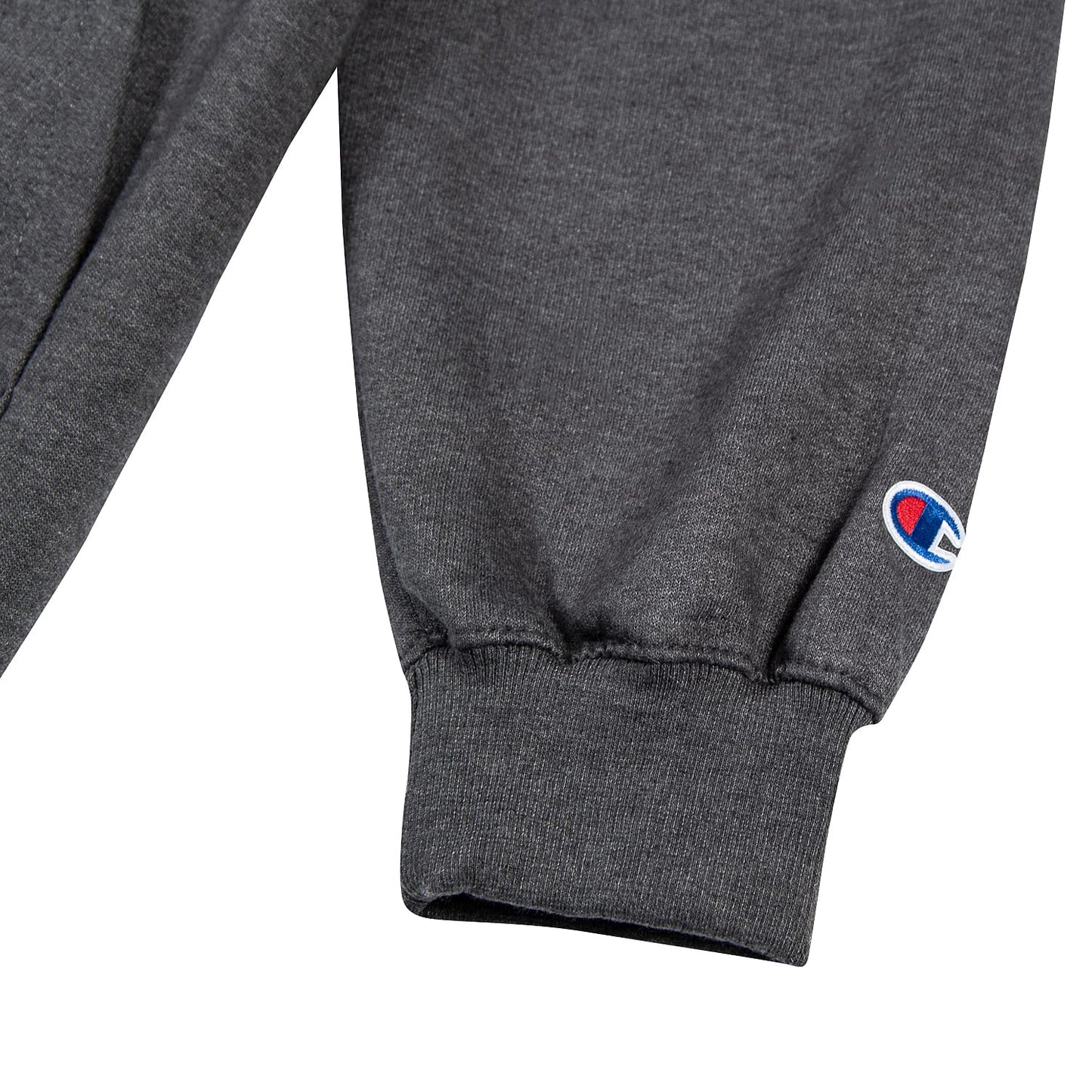 Champion Big & Tall Full Zip Hoodie for Men