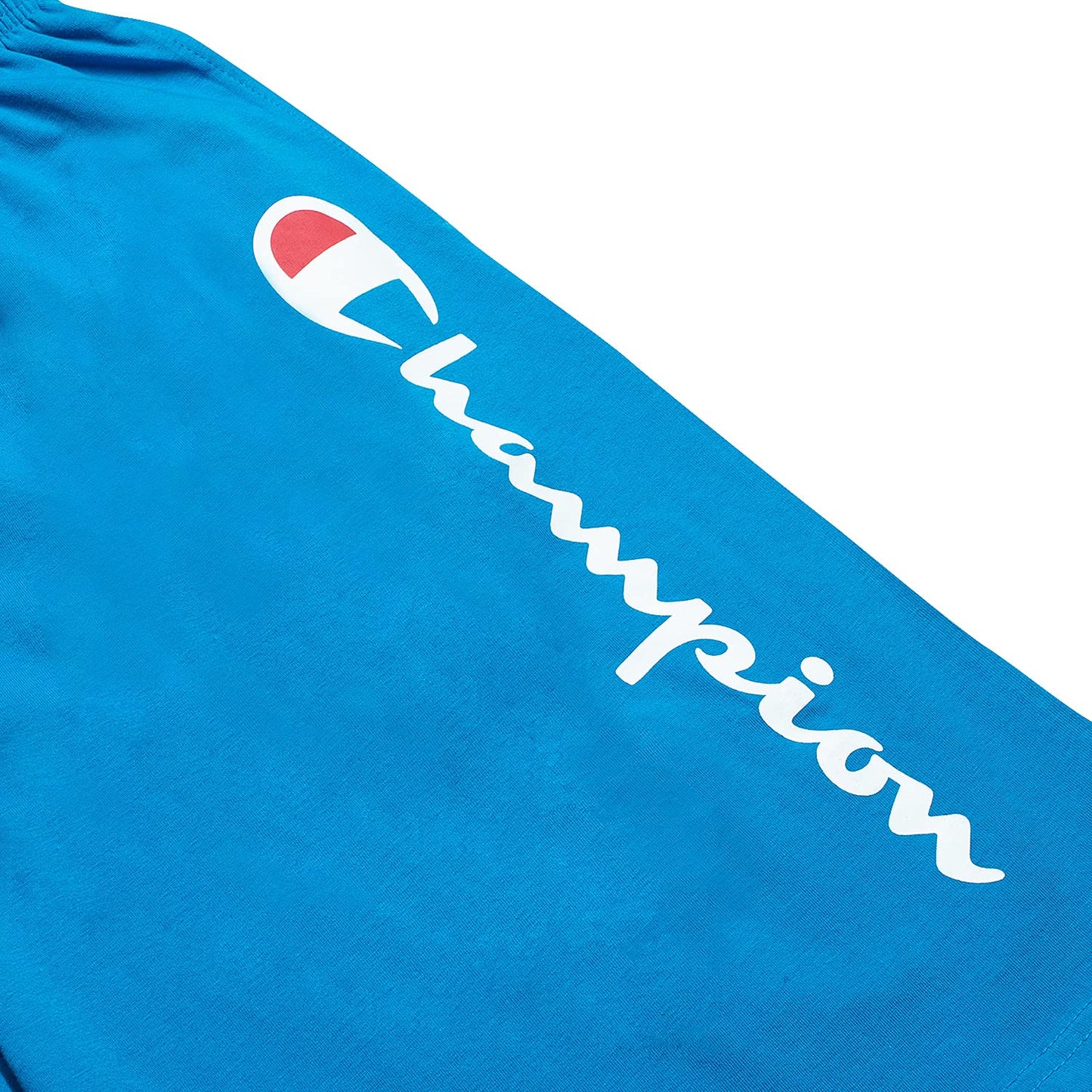 Champion Big & Tall Lightweight Cotton Jersey Shorts for Men