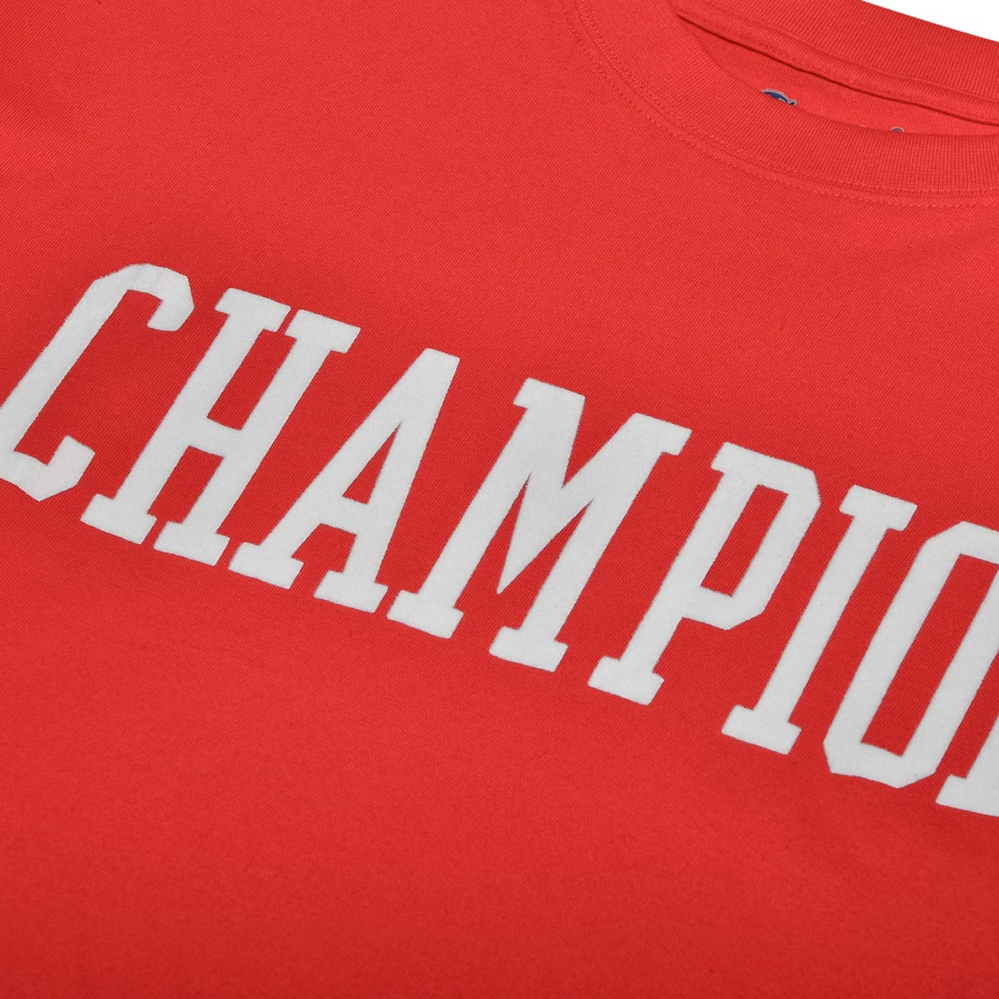 Champion Big & Tall Short Sleeve Logo T-Shirt for Men