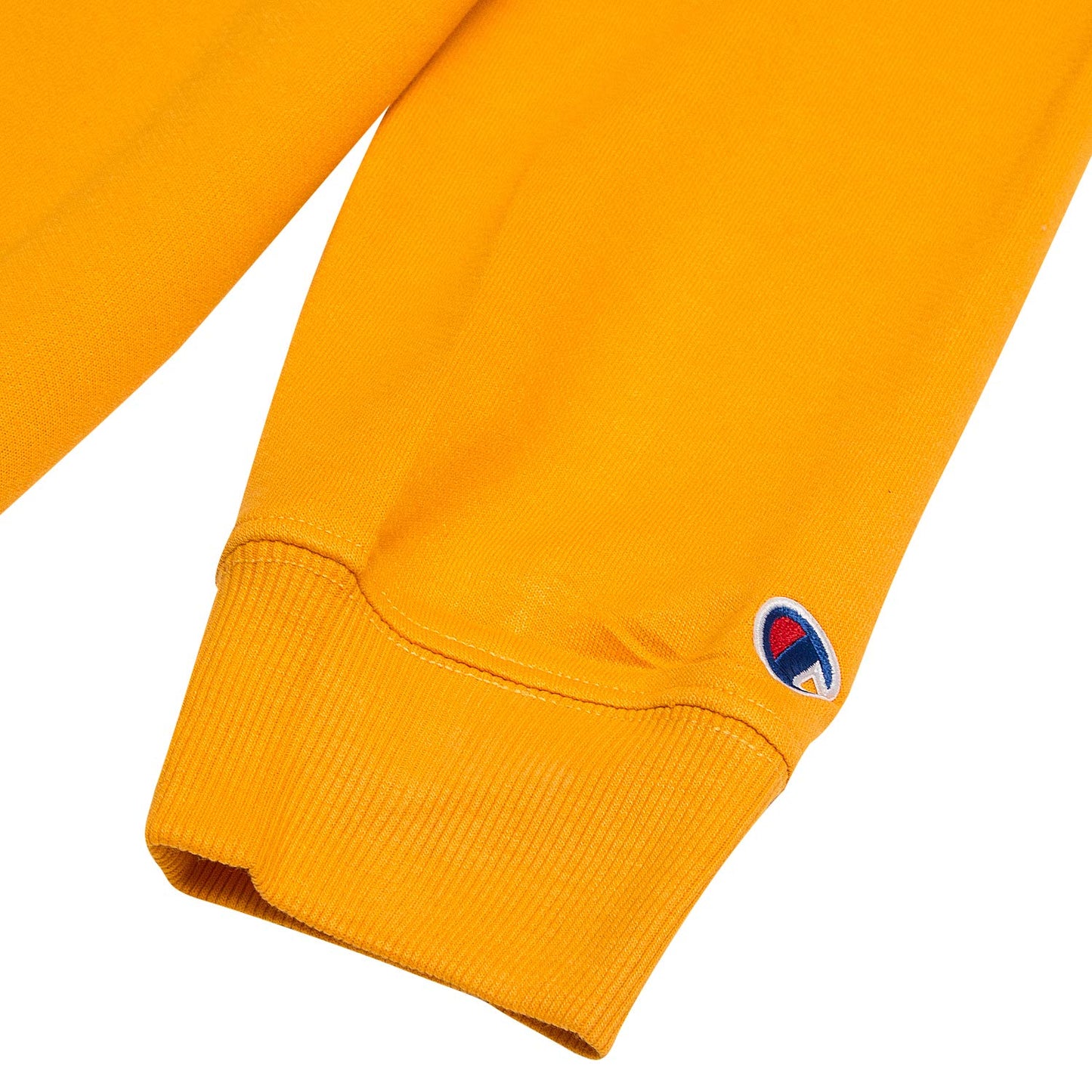 Champion Big & Tall Pullover Crewneck Sweatshirt for Men