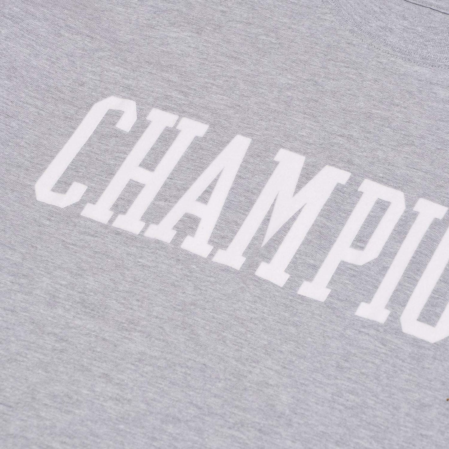 Champion Big & Tall Short Sleeve Logo T-Shirt for Men