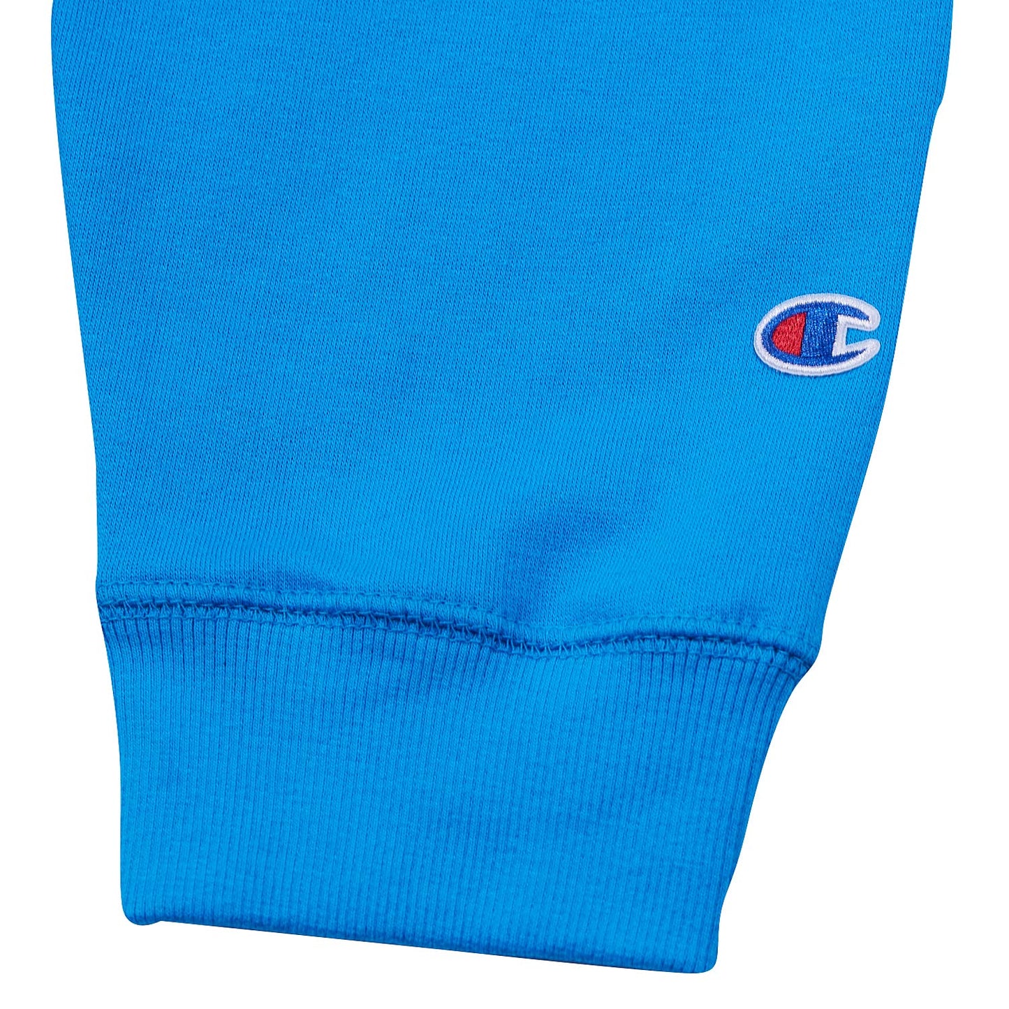 Champion Big & Tall Embroidered Pullover Hoodie for Men