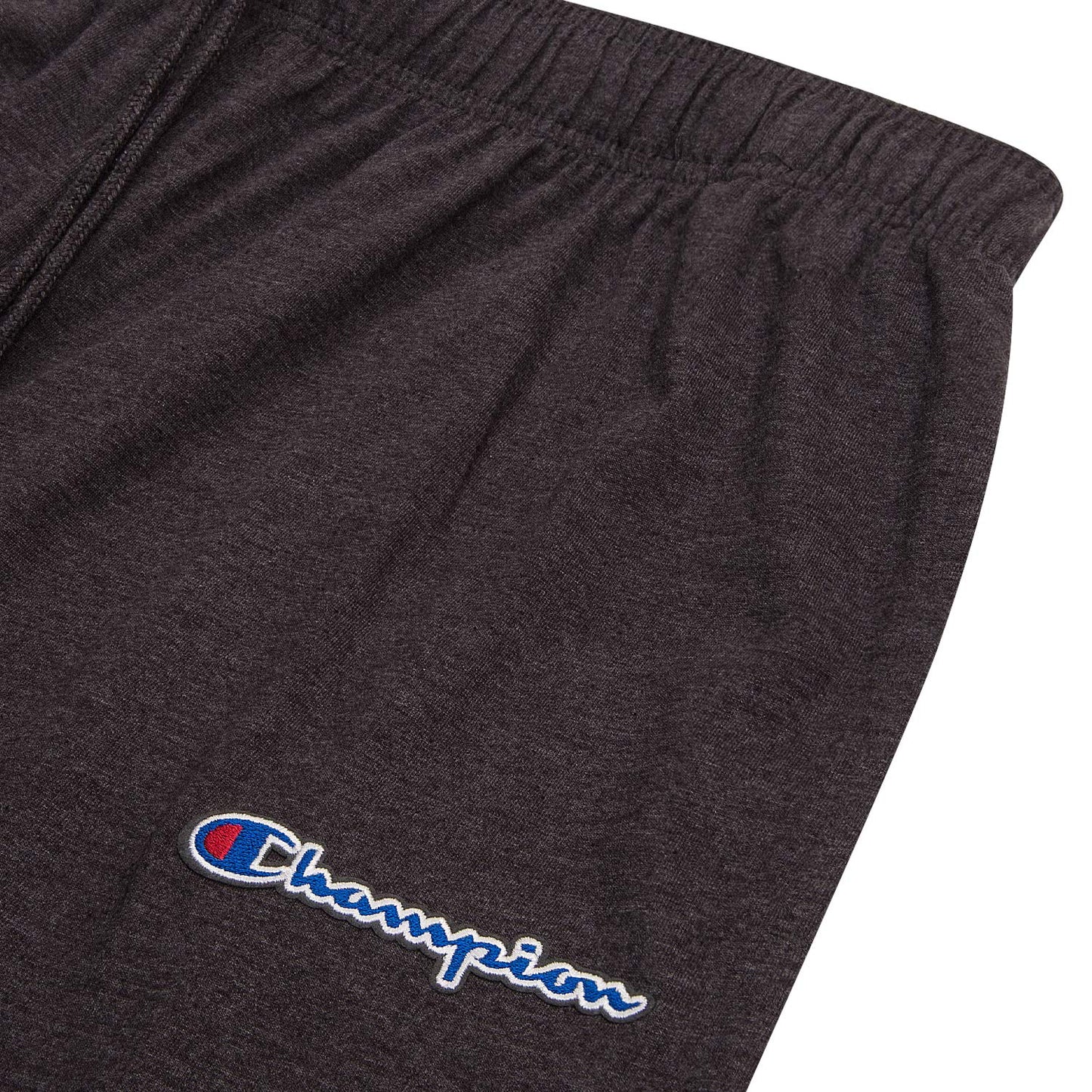 Champion Big & Tall Lounge Pants Joggers for Men