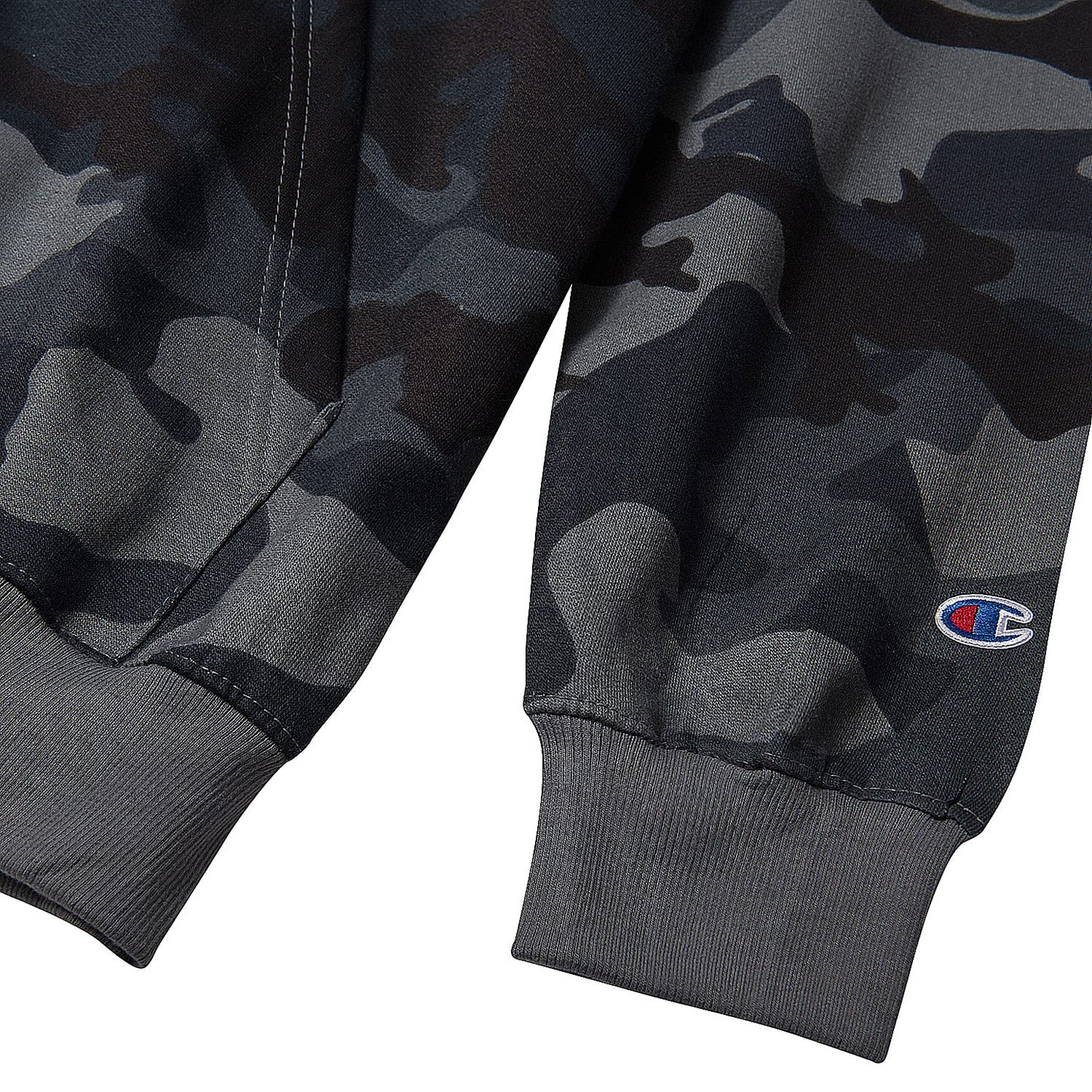 Champion Big & Tall Full Zip Hoodie for Men