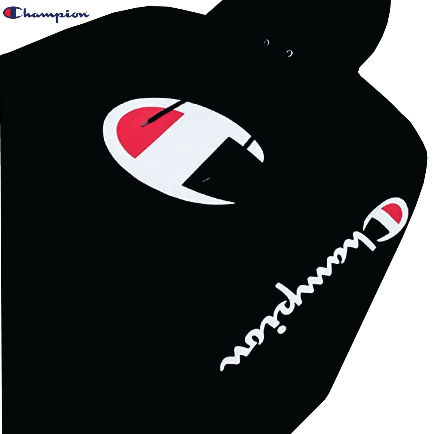 Champion Big & Tall Men's Pullover Fleece Hoodie