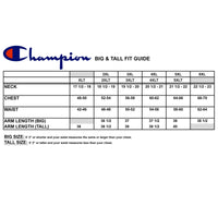 Champion Big & Tall Pullover Crewneck Sweatshirt for Men