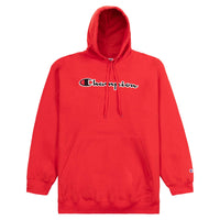 Champion Big & Tall Embroidered Pullover Hoodie for Men