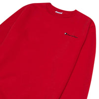 Champion Big & Tall Crewneck Fleece Sweatshirt for Men