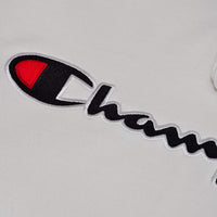 Champion Big & Tall Embroidered Pullover Hoodie for Men