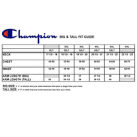 Champion Big & Tall Pullover Crewneck Sweatshirt for Men
