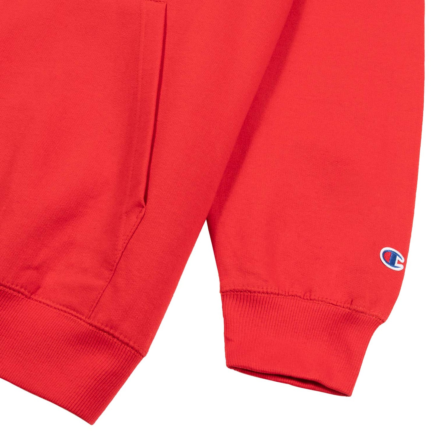 Champion Big & Tall Embroidered Pullover Hoodie for Men