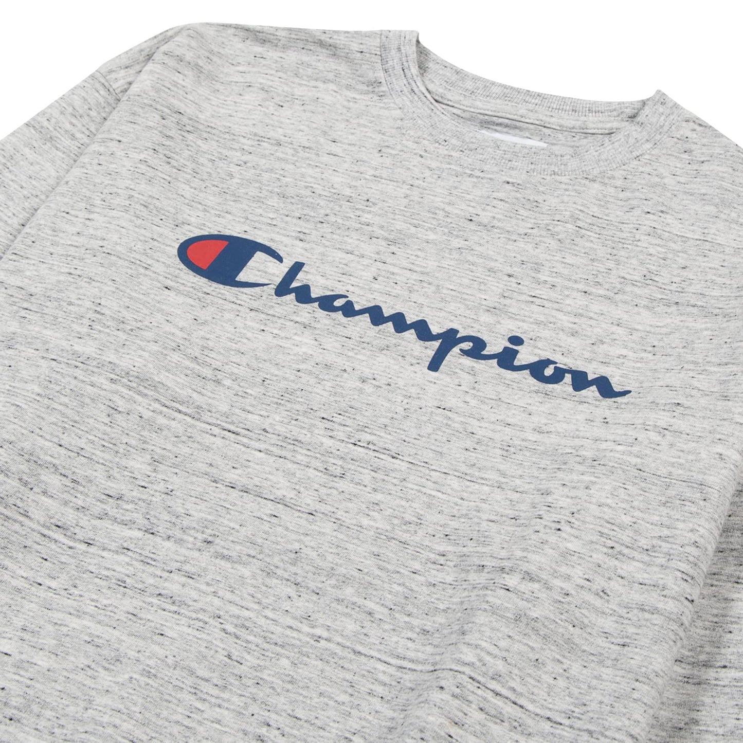 Champion Big & Tall Pullover Crewneck Sweatshirt for Men