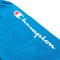 Champion Big & Tall Lightweight Cotton Jersey Shorts for Men