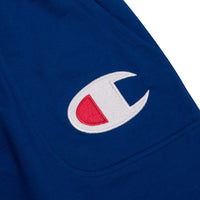 Champion Big & Tall French Terry Active Shorts for Men