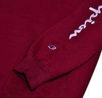 Champion Big & Tall Men's Pullover Fleece Hoodie