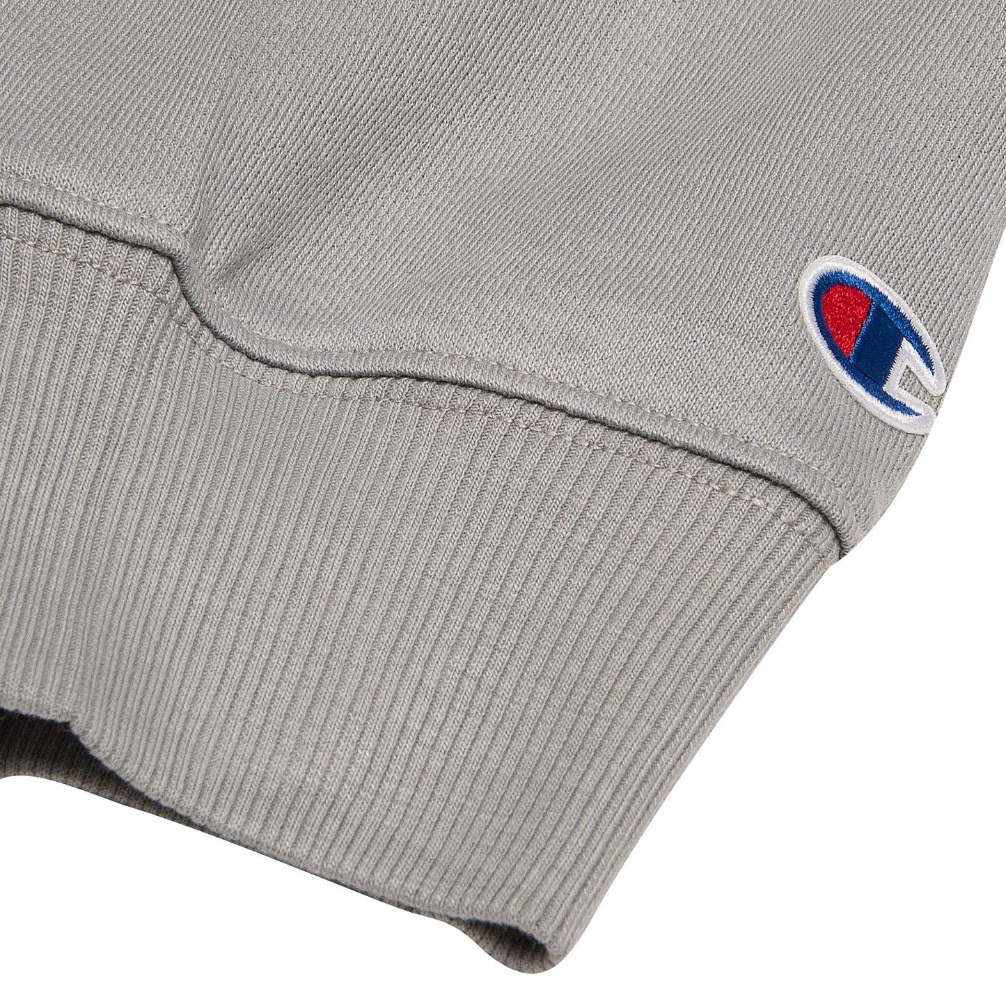 Champion Big & Tall Pullover Crewneck Sweatshirt for Men